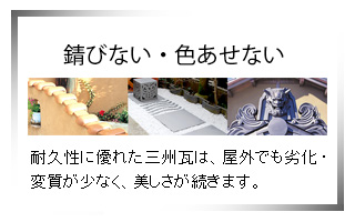 ���̃G�N�X�e���A�E�a������