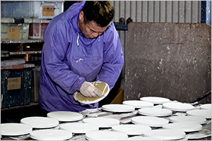 �O�B�S���A�q���u���R���v�A�G�N�X�e���A�p�u�V���v�A�a���E�m���̕����A�e��u���i�����i�E�����j